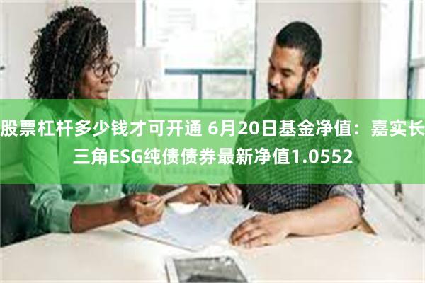 股票杠杆多少钱才可开通 6月20日基金净值：嘉实长三角ESG纯债债券最新净值1.0552