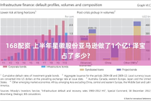 168配资 上半年星徽股份亚马逊做了1个亿! 泽宝占了多少?