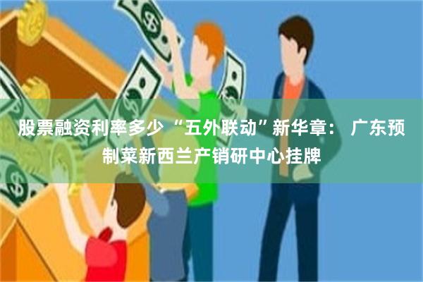 股票融资利率多少 “五外联动”新华章： 广东预制菜新西兰产销研中心挂牌