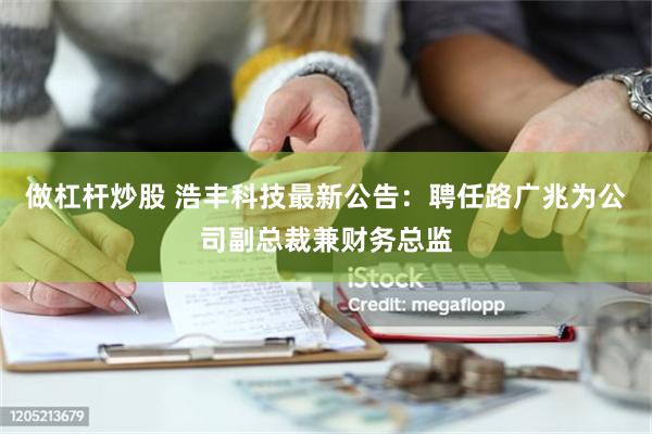 做杠杆炒股 浩丰科技最新公告：聘任路广兆为公司副总裁兼财务总监