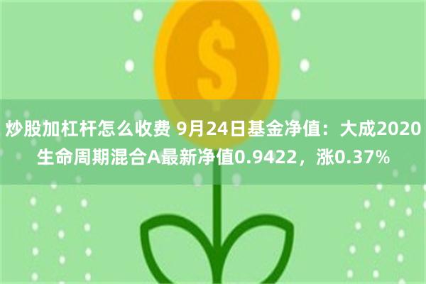 炒股加杠杆怎么收费 9月24日基金净值：大成2020生命周期混合A最新净值0.9422，涨0.37%