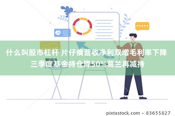 什么叫股市杠杆 片仔癀营收净利双增毛利率下降 三季度基金持仓降50%葛兰再减持