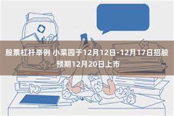 股票杠杆举例 小菜园于12月12日-12月17日招股 预期1