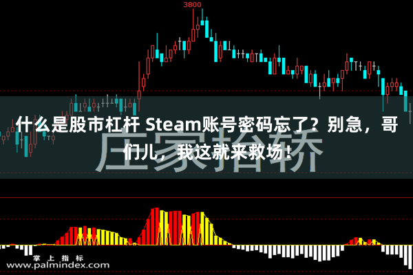 什么是股市杠杆 Steam账号密码忘了？别急，哥们儿，我这就来救场！