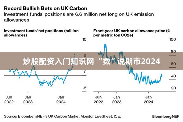 炒股配资入门知识网 “数”说期市2024