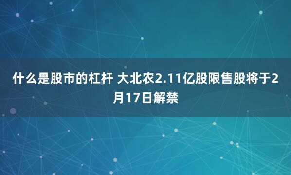 什么是股市的杠杆 大北农2.11亿股限售股将于2月17日解禁