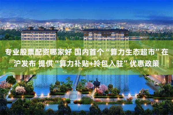 专业股票配资哪家好 国内首个“算力生态超市”在沪发布 提供“算力补贴+拎包入驻”优惠政策