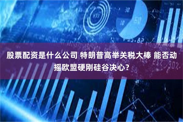 股票配资是什么公司 特朗普高举关税大棒 能否动摇欧盟硬刚硅谷决心？