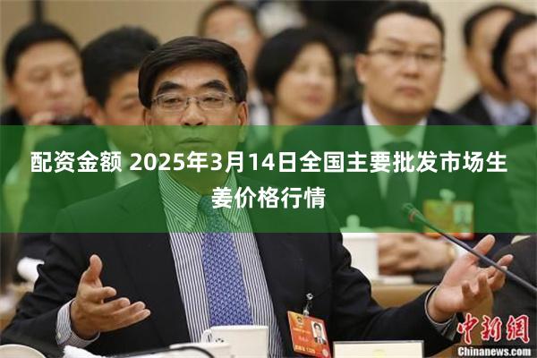 配资金额 2025年3月14日全国主要批发市场生姜价格行情