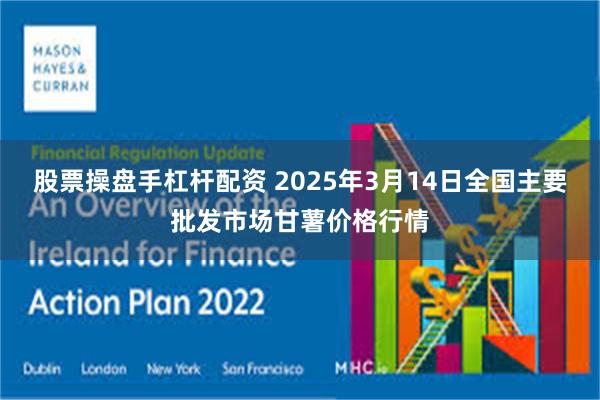 股票操盘手杠杆配资 2025年3月14日全国主要批发市场甘薯价格行情